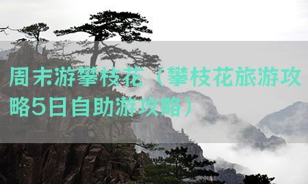 周末游攀枝花（攀枝花旅游攻略5日自助游攻略）