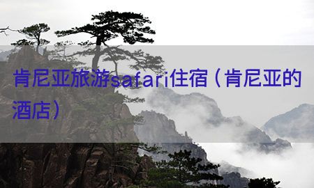 肯尼亚旅游safari住宿（肯尼亚的酒店）