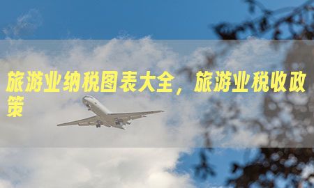 旅游业纳税图表大全，旅游业税收政策