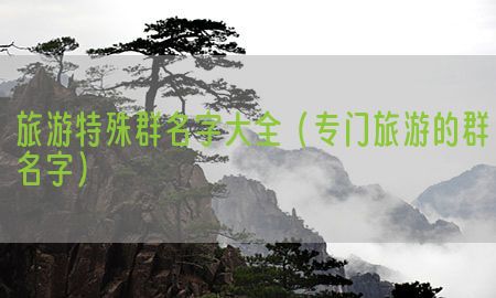 旅游特殊群名字大全（专门旅游的群名字）