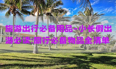 旅游出行必备用品-小长假出游必读:旅行必备物品全清单