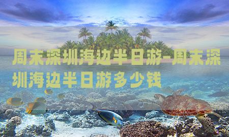 周末深圳海边半日游-周末深圳海边半日游多少钱