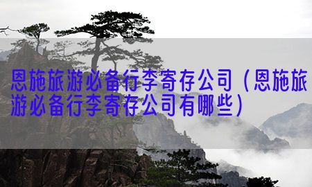 恩施旅游必备行李寄存公司（恩施旅游必备行李寄存公司有哪些）