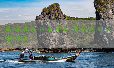 旅游居家必备用品（居家旅行必备神器）