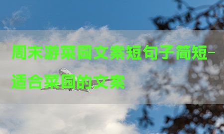 周末游菜园文案短句子简短-适合菜园的文案