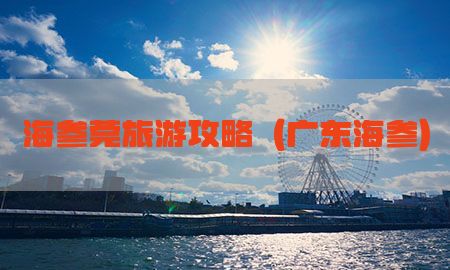 海参莞旅游攻略（广东海参）