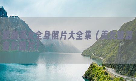 旅游美女全身照片大全集（美女旅游背影图片）