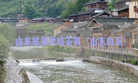 山东旅游攻略茶具（山东的茶）