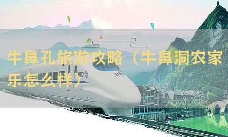 牛鼻孔旅游攻略（牛鼻洞农家乐怎么样）