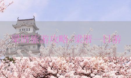 梁厝旅游攻略-梁厝一日游