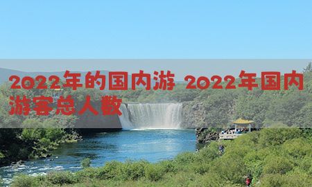 2022年的国内游（2022年国内游客总人数）