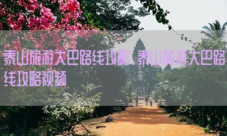 泰山旅游大巴路线攻略，泰山旅游大巴路线攻略视频