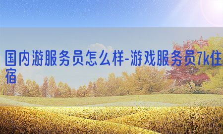 国内游服务员怎么样-游戏服务员7k住宿