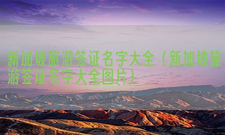 新加坡旅游签证名字大全（新加坡旅游签证名字大全图片）