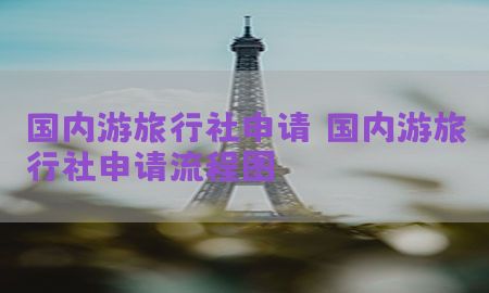 国内游旅行社申请，国内游旅行社申请流程图