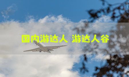 国内游达人（游达人谷）