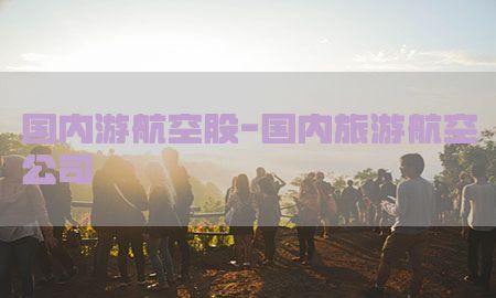 国内游航空股-国内旅游航空公司