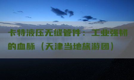 卡特液压无缝管件：工业强韧的血脉（天津当地旅游团）