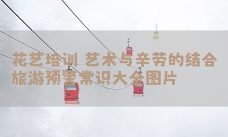 花艺培训：艺术与辛劳的结合（旅游预警常识大全图片）