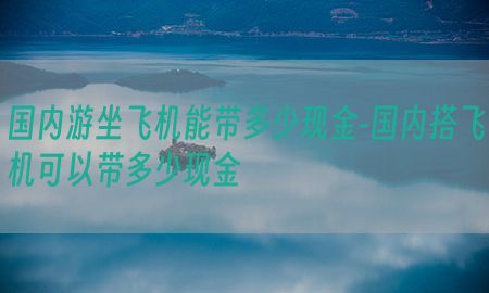 国内游坐飞机能带多少现金-国内搭飞机可以带多少现金