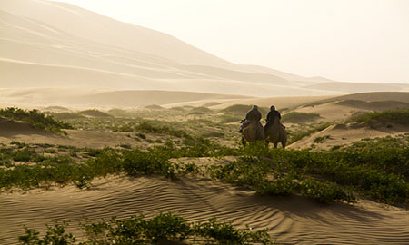 南极旅游必备的是，南极旅游带什么衣服